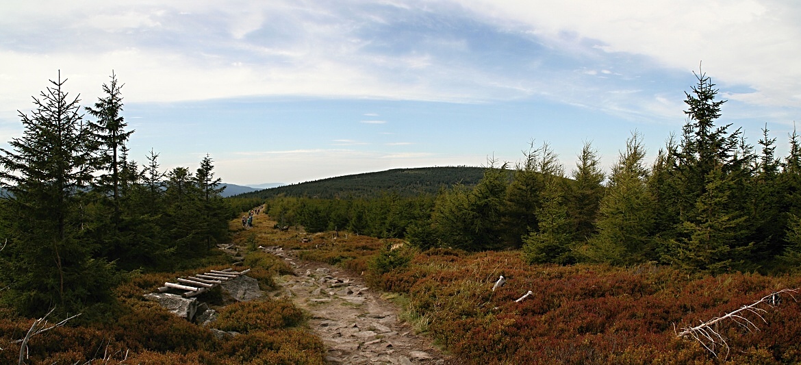 Libverda 211_panorama