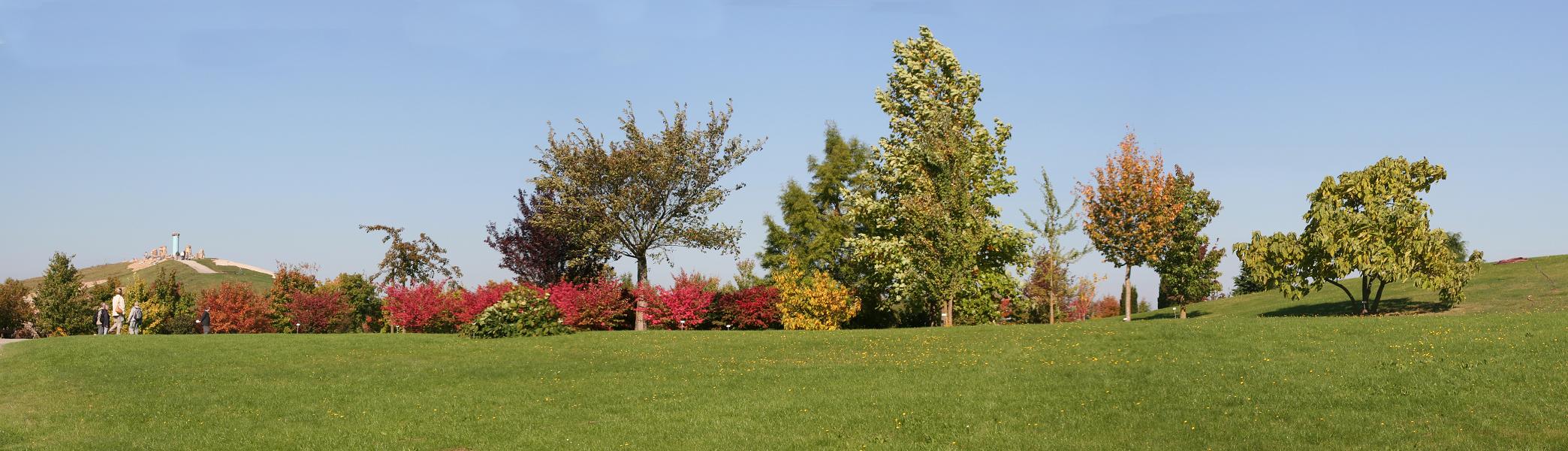 Boxberg OL 007_panoramaa