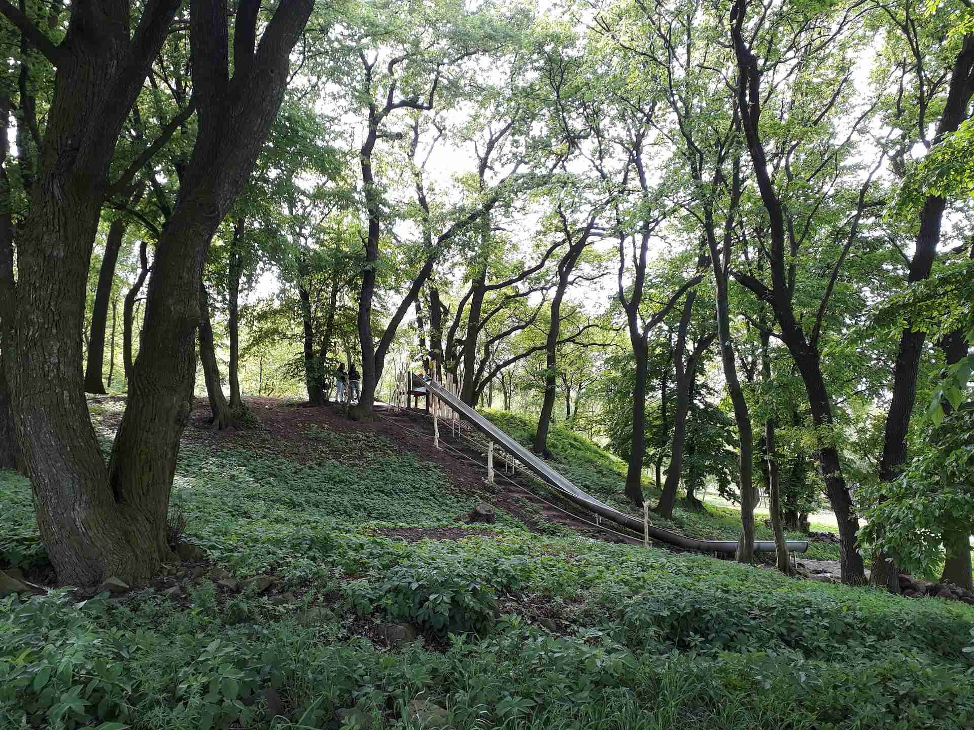 20180501_151851