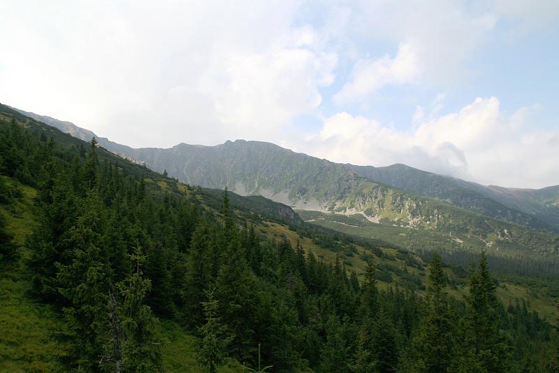 Dov 2008 439.jpg